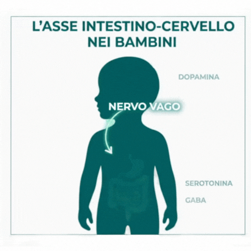 Asse intestino-cervello (animação 2D)