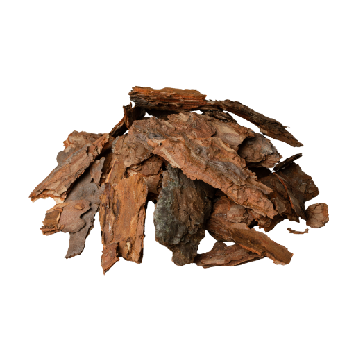 Maritime pine bark